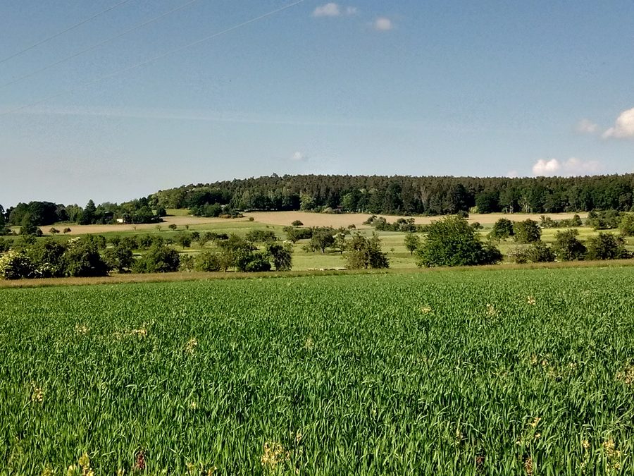 Blick auf den Hohen Berg bei Sulzbach am Main