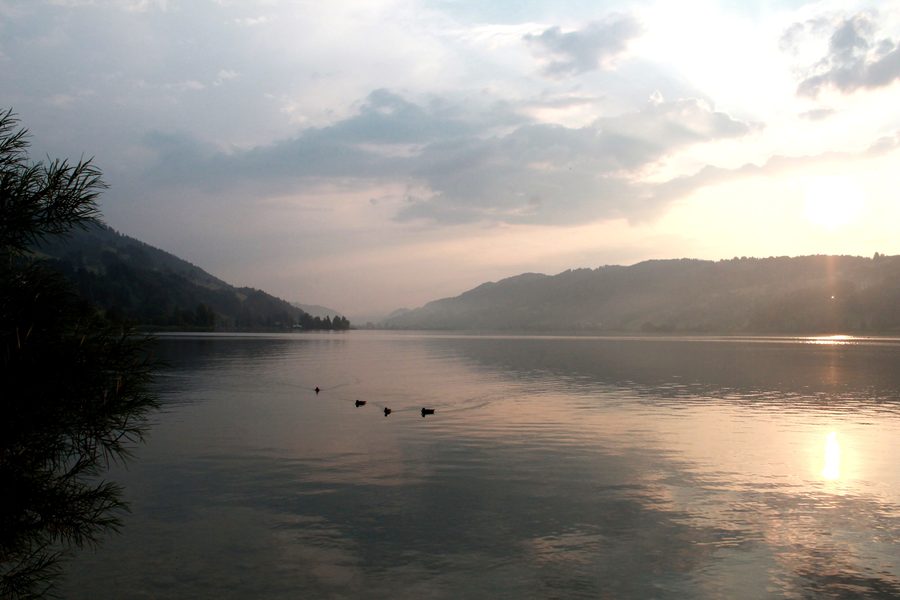 Blick auf den Großen Alpsee bei Immenstadt im Allgäu