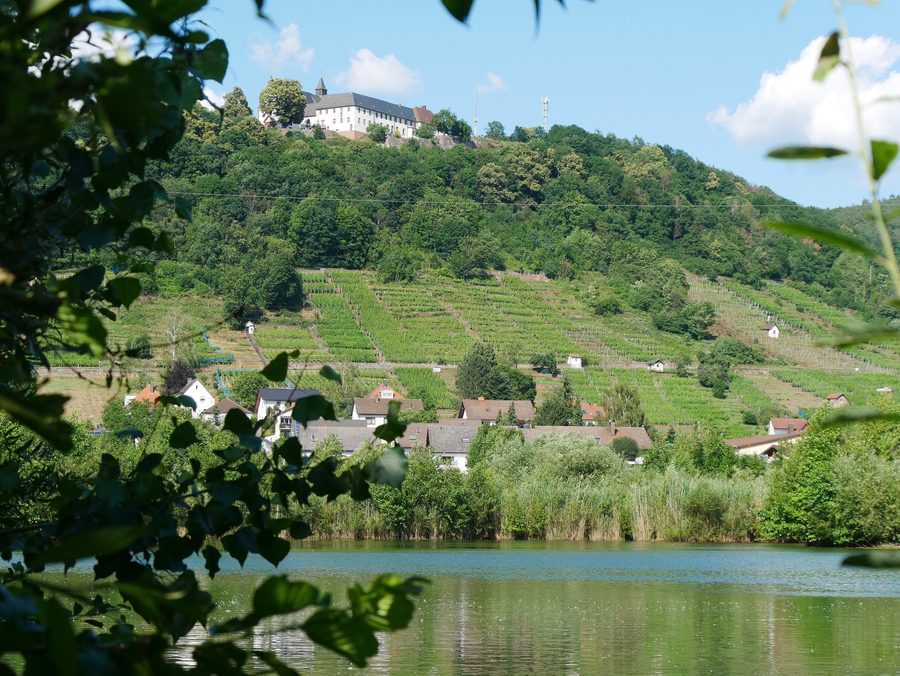 Blick über die Mainaue, die Weinberge bei Kleinheubach und Großheubach sowie zum Kloster Engelberg