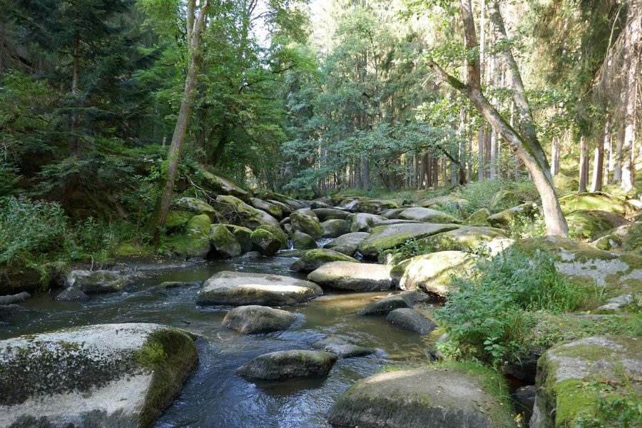 Granitfelsen im Naturschutzgebiet Waldnaabtal nahe Falkenberg
