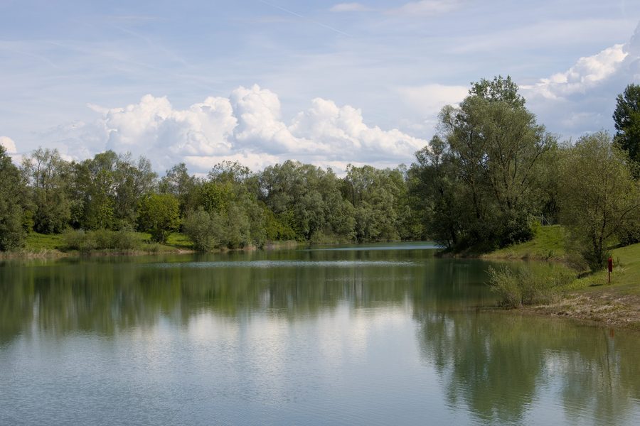Blick auf den Fridolfinger See in der Gemeinde Fridolfing