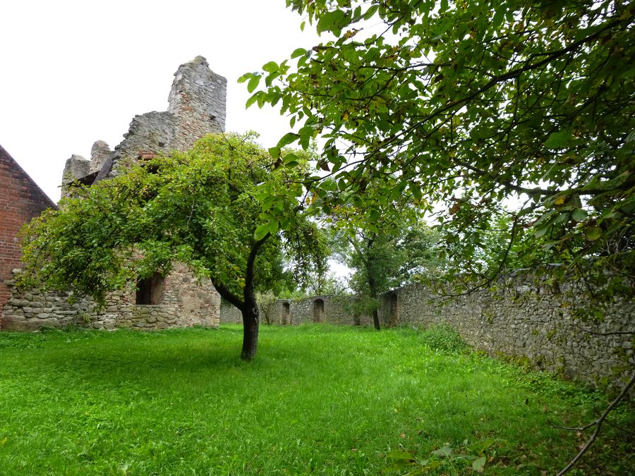 Burgmauern der Burgruine Haibach auf dem Hofberg im Landkreis Straubing-Bogen