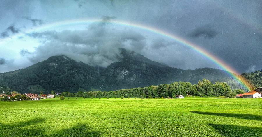 Blick über das Hirschbachwäldchen im alpinen Umfeld von Bad Oberdorf