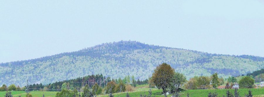 Blick zum Eschenberg im Bayerischen Wald von Südosten