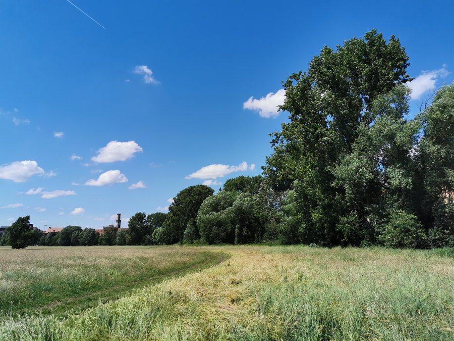 Blick auf den Turm des Fürther Rathauses aus dem Landschaftsschutzgebiet Poppenreuther Landgraben
