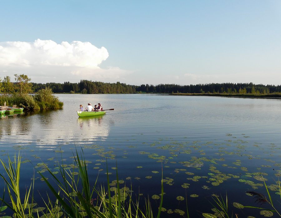 Blick auf den Elbsee bei Aitrang mit Uferlandschaft