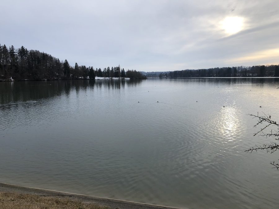 Lechstausee 9 bei Apfeldorf mit Blick flussaufwärts nach Süden