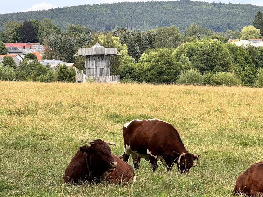 Landschaft im Naturpark Nördlicher Oberpfälzer Wald bei Bärnau