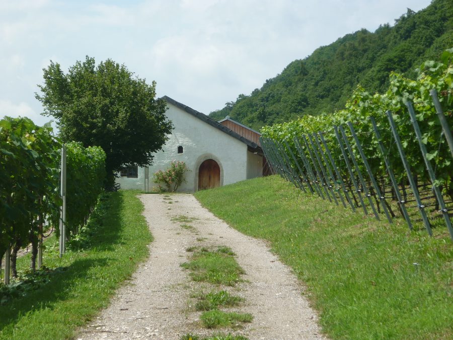 Baierweinmuseum Bach an der Donau