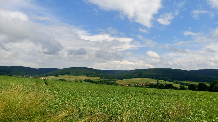 Blick auf die Eselshöhe vom oberen Kahlgrund