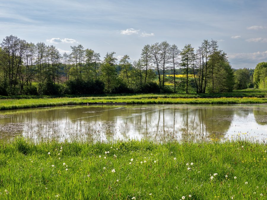 Teiche bei Schlüsselfeld im Landkreis Bamberg