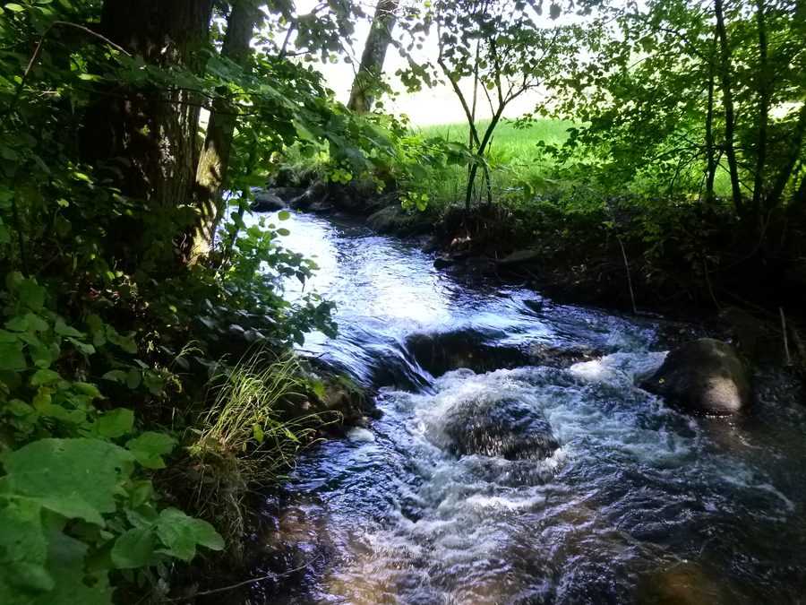 Der Perlbach im Perlbachtal unweit von Neukirchen im Landkreis Straubing-Bogen