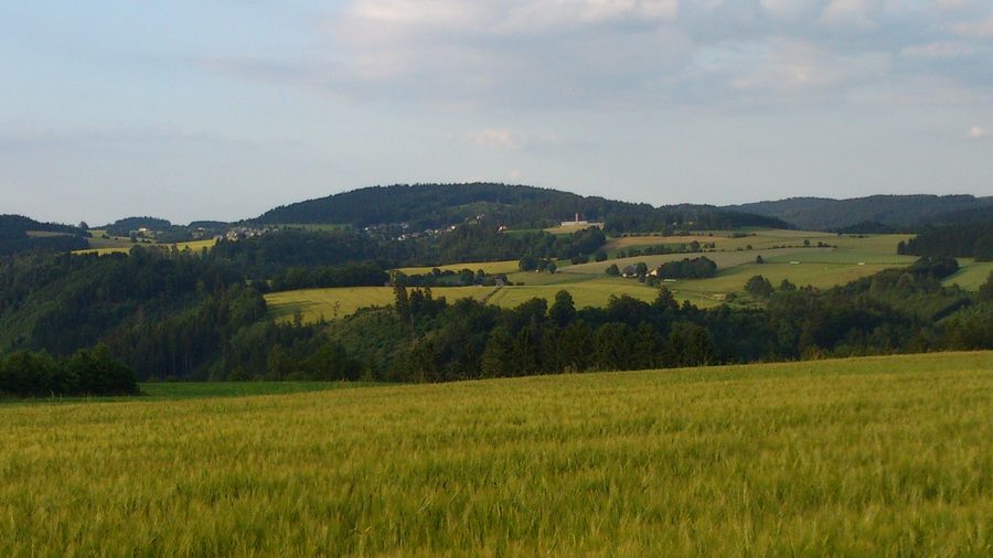 Blick auf den Steinbruchberg bei Grafengehaig von Westen