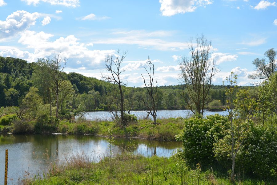 Blick über das Donautal westlich von Neuburg in Richtung Westen