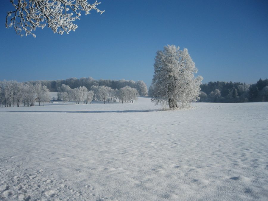 Winterlandschaft in Oberbayern an einem sonnigen, kalten Tag