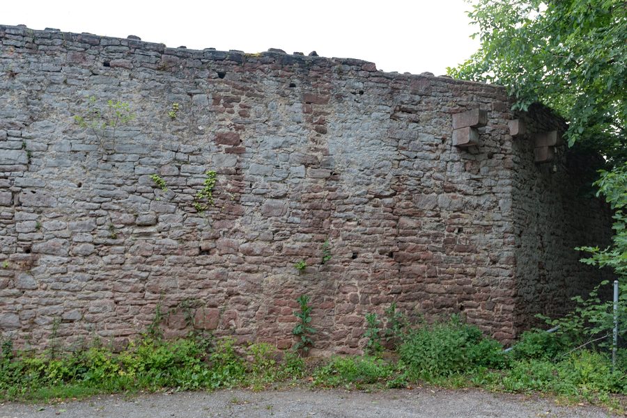 Ruine Scherenburg in Gemünden am Main