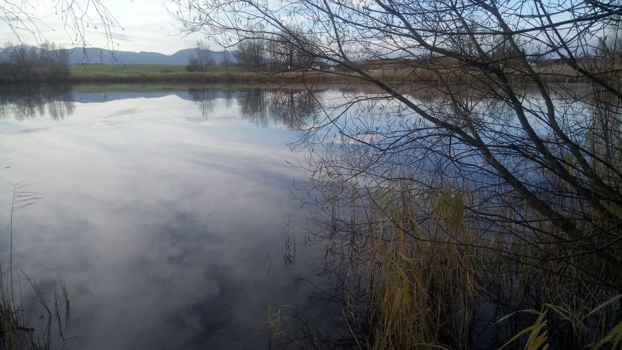 Badsee in Bayern