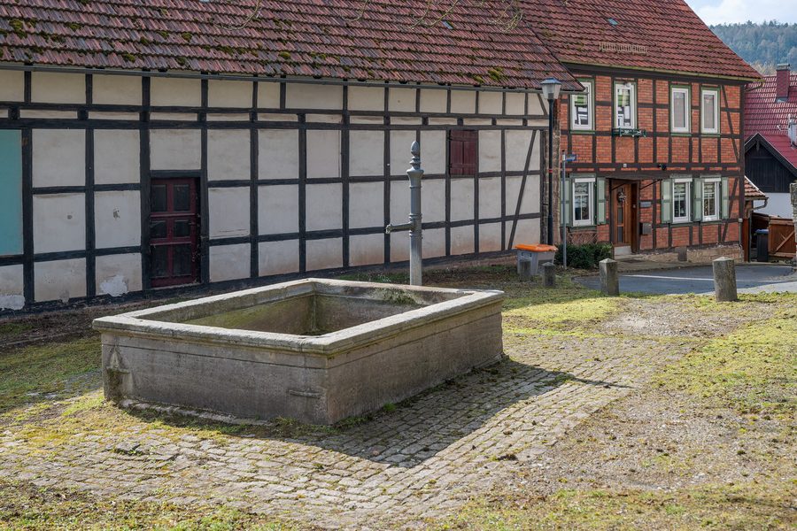 Linde und Brunnen in Rohr