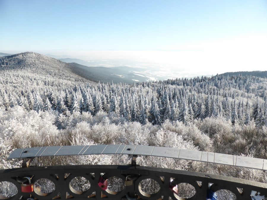 Blick vom Aussichtsturm des Hirschenstein-Gipfels über die verschneiten Bergrücken des Vorderen Bayerischen Waldes und die Donau-Ebene