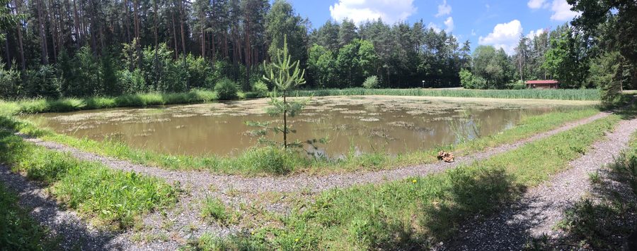 Panorama einer offenen Landschaft im Naturpark Frankenhöhe bei sonnigem Frühsommerwetter