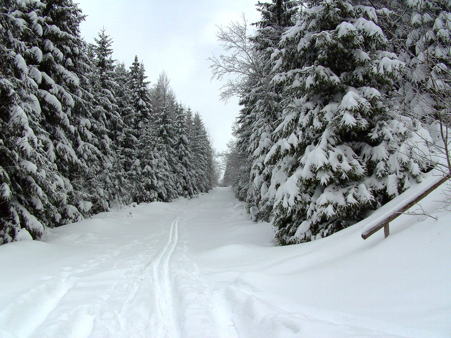 Winterlicher Gerlaser Forst bei Geroldsgrün im Frankenwald