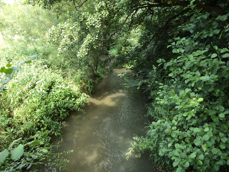 Der Gerolsbach vor den Stadtgrenzen von Pfaffenhofen an der Ilm
