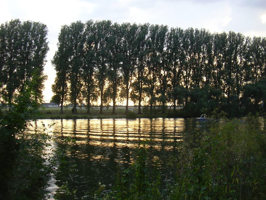 Mainufer bei Kahl am Main in Bayern