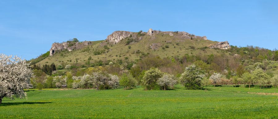Blick auf die Ehrenbürg mit dem Walberla im Frühling