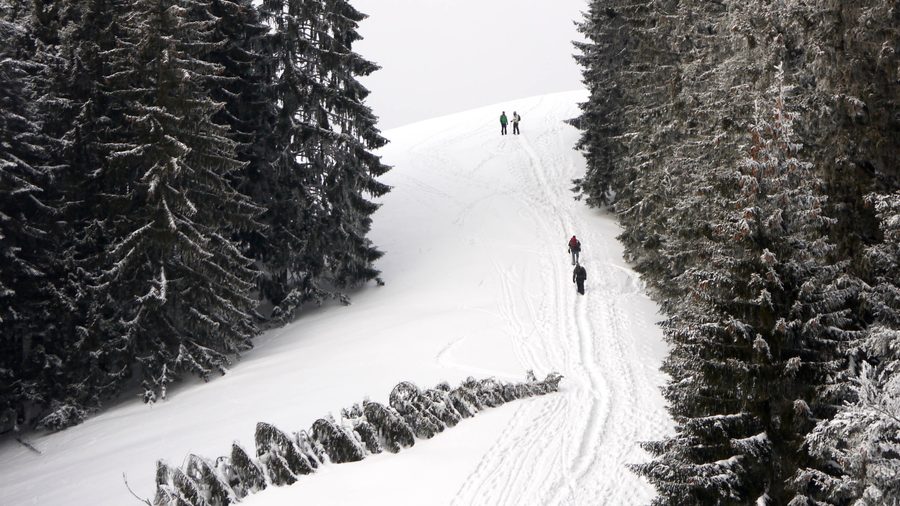 Aufstieg vom Heiglkopf zur Wackersberg Alm und zum Blomberg