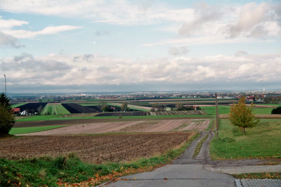 Blick ins Donaumoos bei Berg im Gau im Landkreis Neuburg-Schrobenhausen