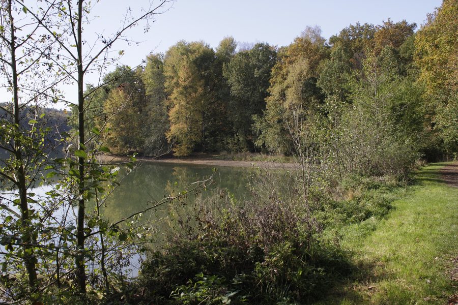 Ellertshäuser See bei Stadtlauringen