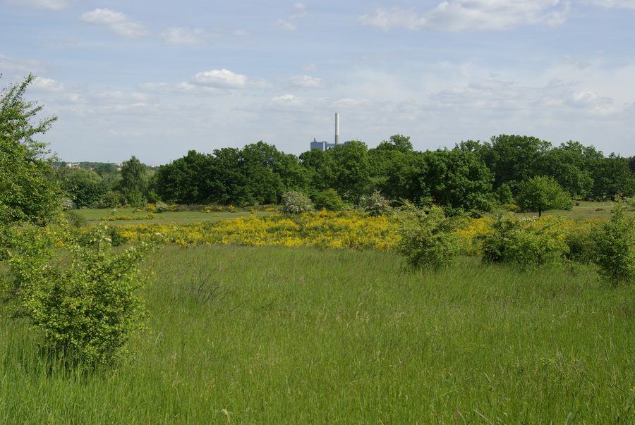 Naturschutzgebiet Hainberg in Oberasbach mit weiter Landschaft und dem Kraftwerk Franken I im Hintergrund