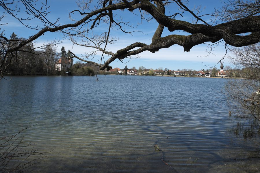 Weßlinger See in Weßling im Landkreis Starnberg