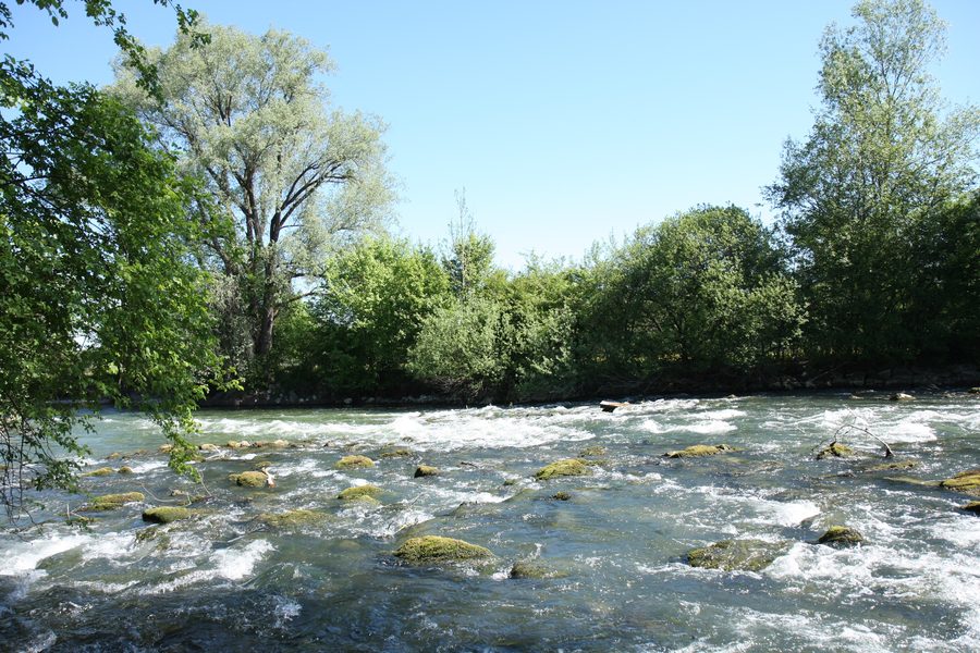 Flusslandschaft mit Stromschnelle in den Amperauen bei Zellhof