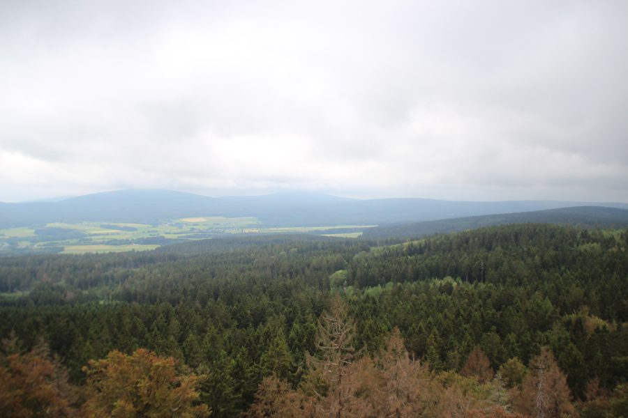 Aussicht vom Großen Waldstein über die bewaldete Landschaft des Fichtelgebirges