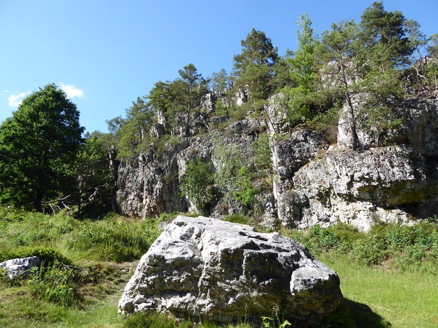 Felsformationen des Großen Pfahls bei Viechtach im Wald