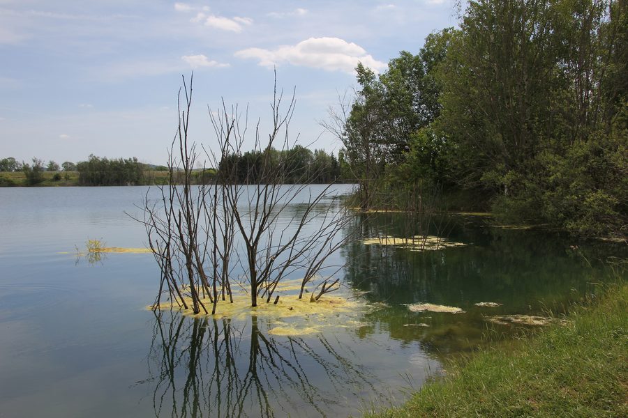 Esbacher See, eine ehemalige Tongrube in Dörfles-Esbach im Landkreis Coburg