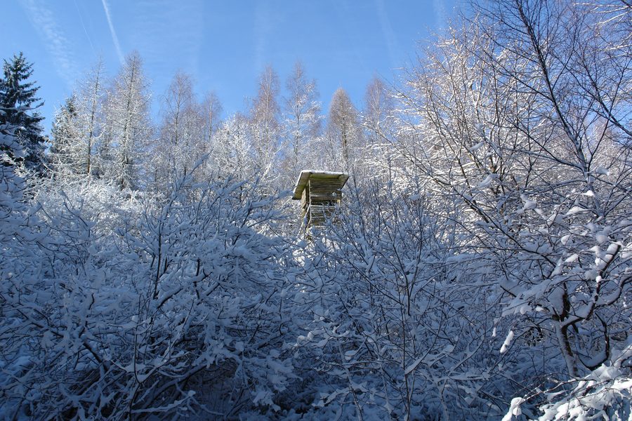 Winter landscape in the Spessart near Lohr am Main, Germany