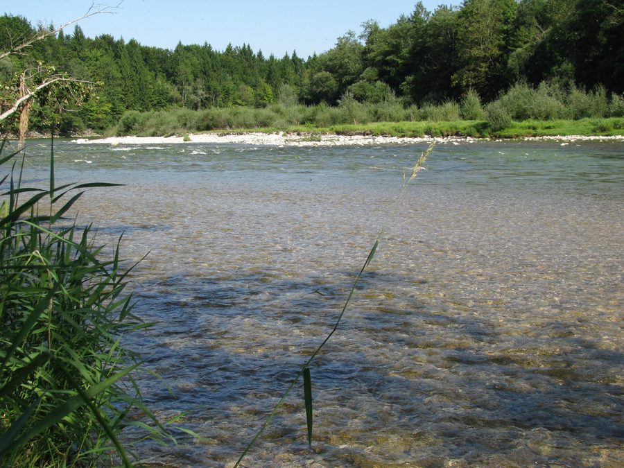 Die Isar zwischen Geretsried und Einöd im Naturschutzgebiet Isarauen