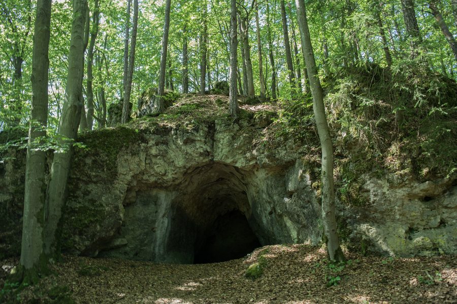 Höhlenportal der Bettelküche bei Neukirchen bei Sulzbach-Rosenberg