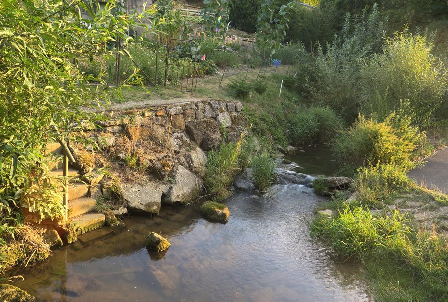 Die Steinach im Nordwesten von Schonungen im Landschaftsschutzgebiet