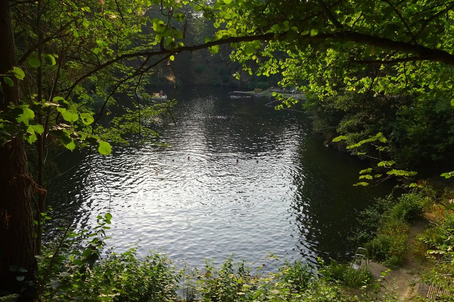 Blick auf den Goldbergsee in Marktschorgast