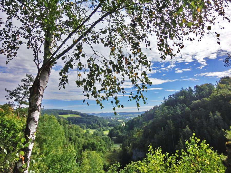 Landschaft im Ailsbachtal bei Ahorntal mit Felsen und bewaldeten Hängen