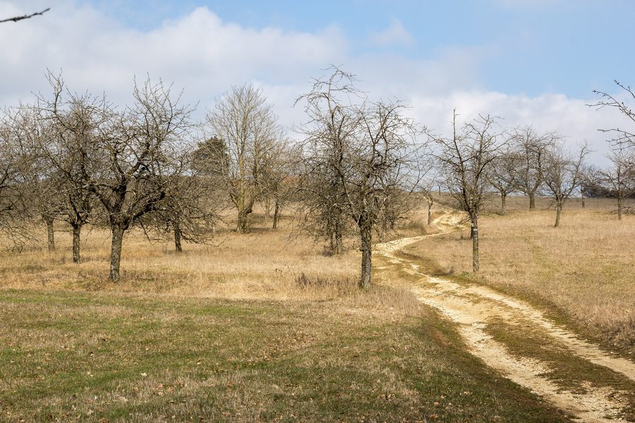 Landschaft am Rechenberg bei Heidenheim am Hahnenkamm