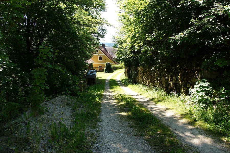 Reste der Burg Rieden über dem Oberpfälzer Vilstal