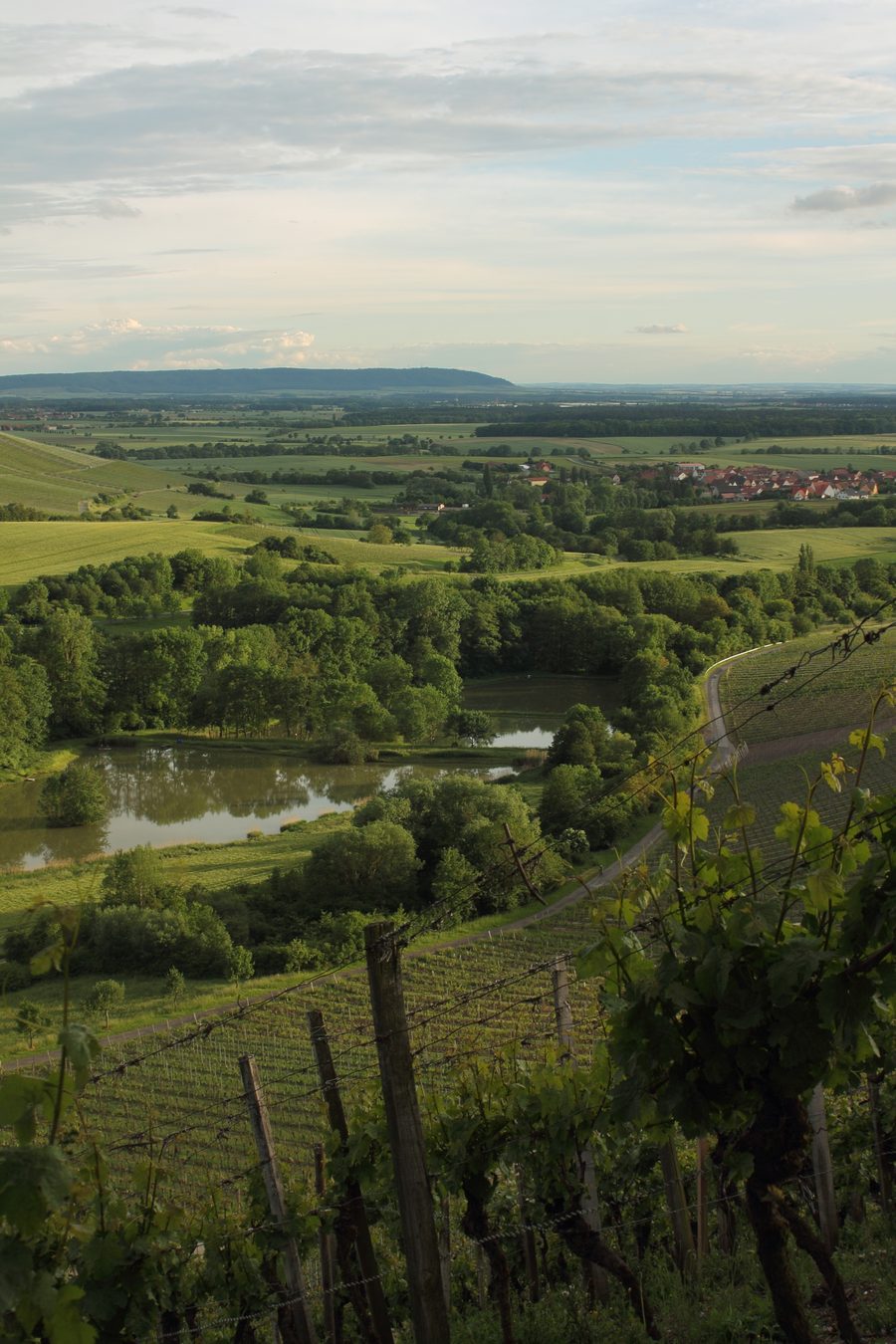 Blick vom Stollberg auf Oberschwarzach, Fischerteiche und fränkische Weinberge im Naturpark Steigerwald
