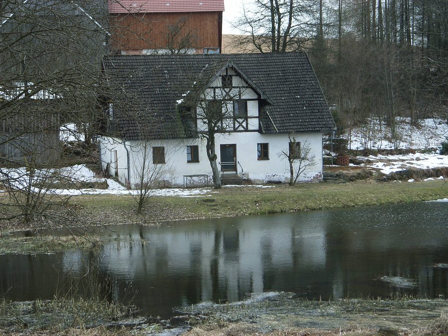 Dorfweiher in Oberlangau, einer Ortschaft im Gemeindegebiet von Oberviechtach in Bayern.