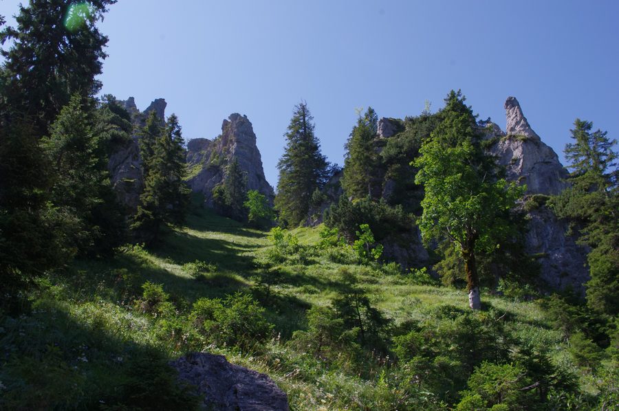 Berglandschaft am Sonnenberggrat im Ammergebirge