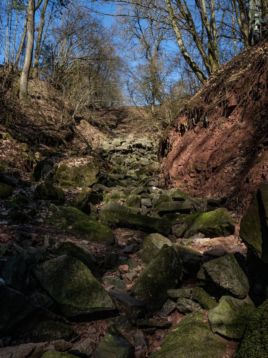 Kirschengraben bei Altfeld in Marktheidenfeld an einem trockenen Frühlingstag