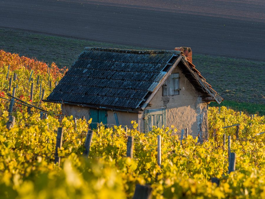 Arbeitshäuschen in einem Weinberg am Falkenberg bei Donnersdorf